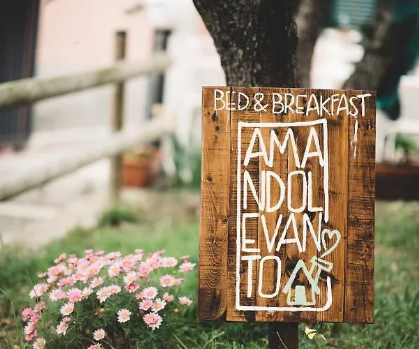 Amandolevanto Oda ve Kahvaltı Levanto