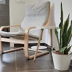Amandolevanto Couette-café