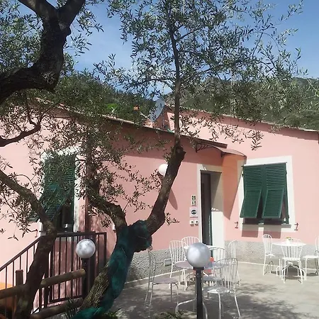 Amandolevanto Λεβάντο