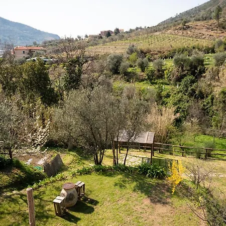 Amandolevanto