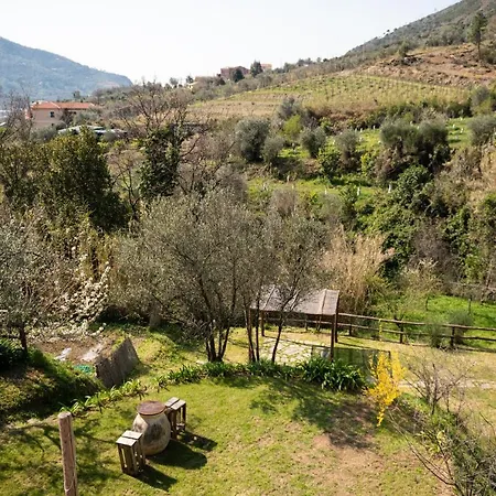 Amandolevanto