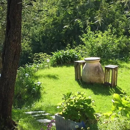 Amandolevanto レヴァント