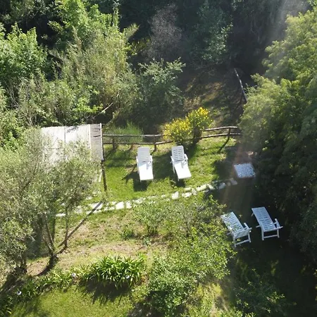 Amandolevanto